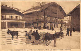 74-MEGEVE- STATION HIVERNALE- LES LUTINS PENSION D'ENFANTS - Megève