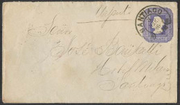 CHILE - Stationery. 1886 (3 April). Santiago Local Urgente Usage. 5c Lilac Stat Env Type 2 NY I, Quadrille Paper / 138 X - Chile