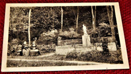 CARNIERES  -  Asile Du Sacré-Coeur - Statue De Saint Joseph Dans Le Parc - Morlanwelz
