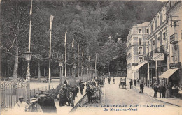 65-CAUTERETS- L'AVENUE DU MAMELON-VERT - Cauterets