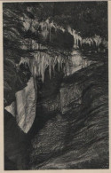 62635 - Syrau - Elefantenohr Der Drachenhöhle - 1933 - Syrau (Vogtland)