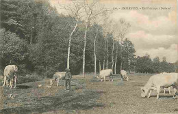 69 - Amplepuis - En Paturage à Berland - Animée - Vaches - CPA - Voir Scans Recto-Verso - Amplepuis