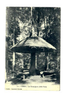 76 - Limésy - Arbre Servant De Support à Une Ombrelle "Champignon" - Surprenant - Carte Circulée En 1909 - Alberi