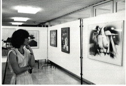CPM Pierre Devin 1981 L'exposition Haulchin - Expositions