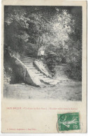 L180A2037 - Fayl-Billot - Un Coin Du Bois Banal - Escalier Taillé Dans Le Rocher - Fayl-Billot