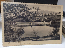 Cartolina Amatrice Provincia Rieti , Lago Scandarella 1951 - Rieti