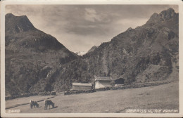 Austria - 6167 Neustift Im Stubaital - Oberisshütte - Kühe - Nice Stamp 1928 - Neustift Im Stubaital