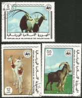 594 Mauritanie Chèvres Gazelles Goats Ziege Cabra Capra (MAU-14) - Hoftiere