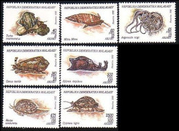 588 Madagascar Mollusques Snails MNH ** Neuf SC (MDG-5a) - Madagascar (1960-...)