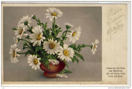 Glückwunsch Zum MUTTERTAG -  Margeriten, (Leucanthemum) - Fête Des Mères