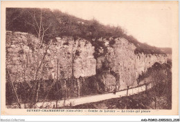 AADP10-21-0914 - GEVREY-CHAMBERTIN - Combe De Lavaux - La Roche Qui Pleure  - Gevrey Chambertin