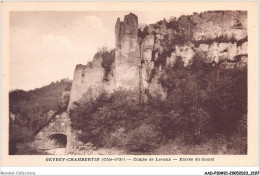 AADP10-21-0913 - GEVREY-CHAMBERTIN - Combe De Lavaux - Entree Du Tunnel  - Gevrey Chambertin