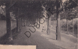 Postkaart - Carte Postale - Tienen - Boulevard Vinckenbosch (C5496) - Tienen