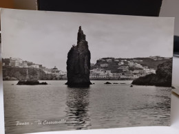 4 Cartoline Isola Di Ponza Anni 60 ,il Casocavallo,Zannone ,frazione S.Maria Faraglioni Della Parata - Latina
