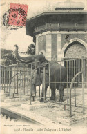 MARSEILLE Jardin Zoologique Eléphant - Parks, Gärten