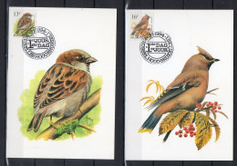 Année 1994 : Carte Maximum 2353-2354 - Oiseaux - Buzin - Obli. Brussel-Bruxelles - 1991-2000