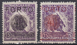 Hongrie Temesvar Taxe N°1-1a NM * Occupation Roumaine (K3) - Temesvár