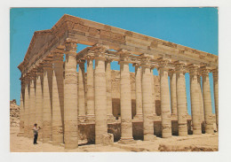 IRAQ Nineveh HATRA City Ancient Temple Ruins View, Vintage Photo Postcard RPPc AK (28769) - Iraq
