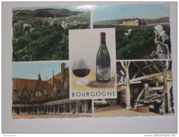 PAC1 -   Vendange En Bourgogne   ( Agriculture Vigne Vigneron Vendange   Raisin - Bourgogne