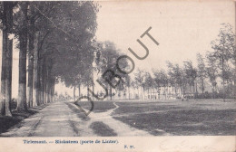 Postkaart - Carte Postale - Tienen - Slicksteen - Porte De Linter (C5459) - Tienen