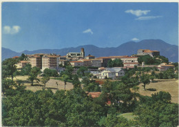 S.ANGELO DEI LOMBARDI -AVELLINO -PANORAMA 1971 - Avellino