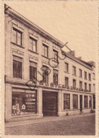 Postkaart - Carte Postale - Tienen - Maurice Dotremont - Rue De Louvain (C5327) - Tienen