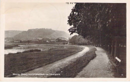 Merzig (Saar) - Saarpromenade Am Stadtpark Gel. - Kreis Merzig-Wadern