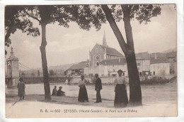 CPA :  14 X 9  -  SEYSSEL  -  Le Pont Sur Le Rhône - Seyssel