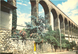 94 - Cachan - L'Aqueduc - CPM - Voir Scans Recto-Verso - Cachan