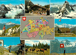 Suisse - Autre - Multivues - Chevaux - Carte Géographique - CPM - Carte Neuve - Voir Scans Recto-Verso - Sonstige & Ohne Zuordnung