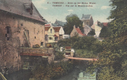 Temsche - Temse - Zicht Op De Watermolen - Vue Sur Le Moulin à Eau - Temse