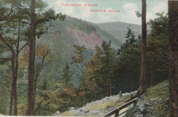 131851 - Ilsenburg - Ilsenstein Und Brocken - Ilsenburg