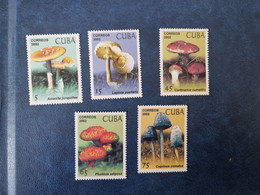 CUBA  NEUF   2002    HONGOS   //  PARFAIT  ETAT  //  1er  CHOIX - Unused Stamps