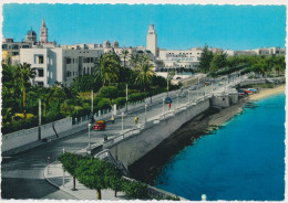 LIBYA, TRIPOLI , Sciara Adriano Pelt Street,  Old Photo Postcard - Libye