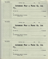 Danville P.Quebec - Carnet De Cheques Lotbiniere Pulp & Paper Dans Les 1960, 34 X 26cm, 49 Pages De 3p.p - Cheques & Traverler's Cheques