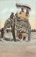 489047State Elephant Of The Prince Of Khairpur. 1907.   - Pakistan