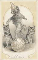 4890115Circus Honden. (Reliëfkaart 1902)  - Circo