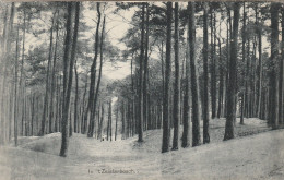 489358In T'Zeisterbosch. 1920.  - Zeist