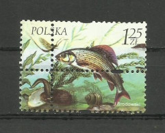 POLAND  2004 - ERROR DOUBLE  AND  SHIFT  PERFORATION,  RARE - Errors & Oddities