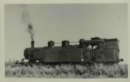 Reproduction - B 94-001 Ex.381 à Nijverseel - Trains