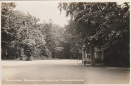 4892194Bloemendaal, Bloemendaalsch Bosch Met Pannekoekenhuisje.(FOTOKAART)  - Bloemendaal