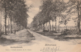 4892320Hilversum, Korfersbosch. (Rechtsonder Een Kleine Vouw) (Poststempel 1901)  - Hilversum