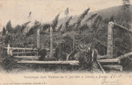 4907 43 Gewitterbruch In Schierke Am 17 Juni 1904. (Der Rücken Beginnt Loszulassen)  - Schierke