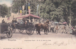 48258Bruxelles, Longchamp Fleuri  - S. M. La Reine Au Bois.(timbre 23-24.) - Forests, Parks