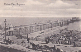 4825274Brighton, Palace Pier. 1908. - Brighton