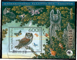 Hungary, 2017 Used,     Owls Mi. Nr.5911,  Block 402 - Gebraucht