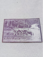 ANTIQUE POSTCARD SÃO TOME E PRINCIPE ROÇA COLONIA AÇORIANA - ENTRADA DO GADO PARA O BANHO UNUSED - Sao Tomé E Principe