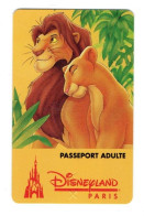 FRANCE PASSEPORT DISNEYLAND PARIS - Disney