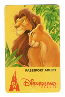 FRANCE PASSEPORT DISNEYLAND PARIS - Disney