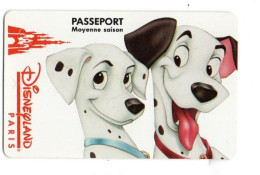 FRANCE PASSEPORT DISNEYLAND PARIS - Disney